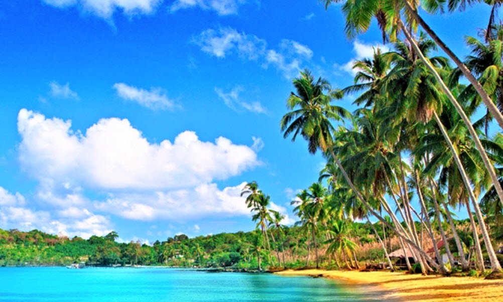 Interview Island Wildlife Sanctuary, North and Middle Andaman, Andaman and Nicobar Islands - Vushii.com